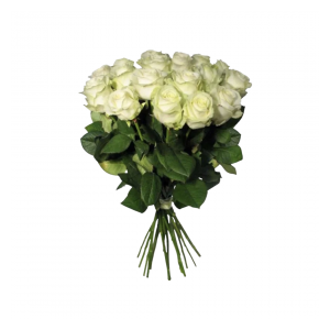 Роза 70 см. белая (21 шт.)