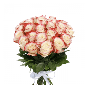 Роза 60 см. кабарет (25 шт.)