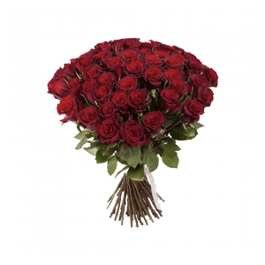 Роза 70 см. красная (51 шт.)