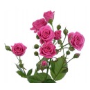 Роза кустовая ярко-розовая (Lidia)